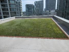 Yokohama Plaza Building (Rooftop)