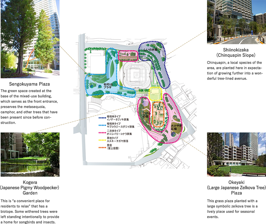 Creation of green areas to promote biodiversity [ARK Hills Sengokuyama Mori Tower]